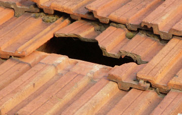 roof repair Sandy Gate, Devon